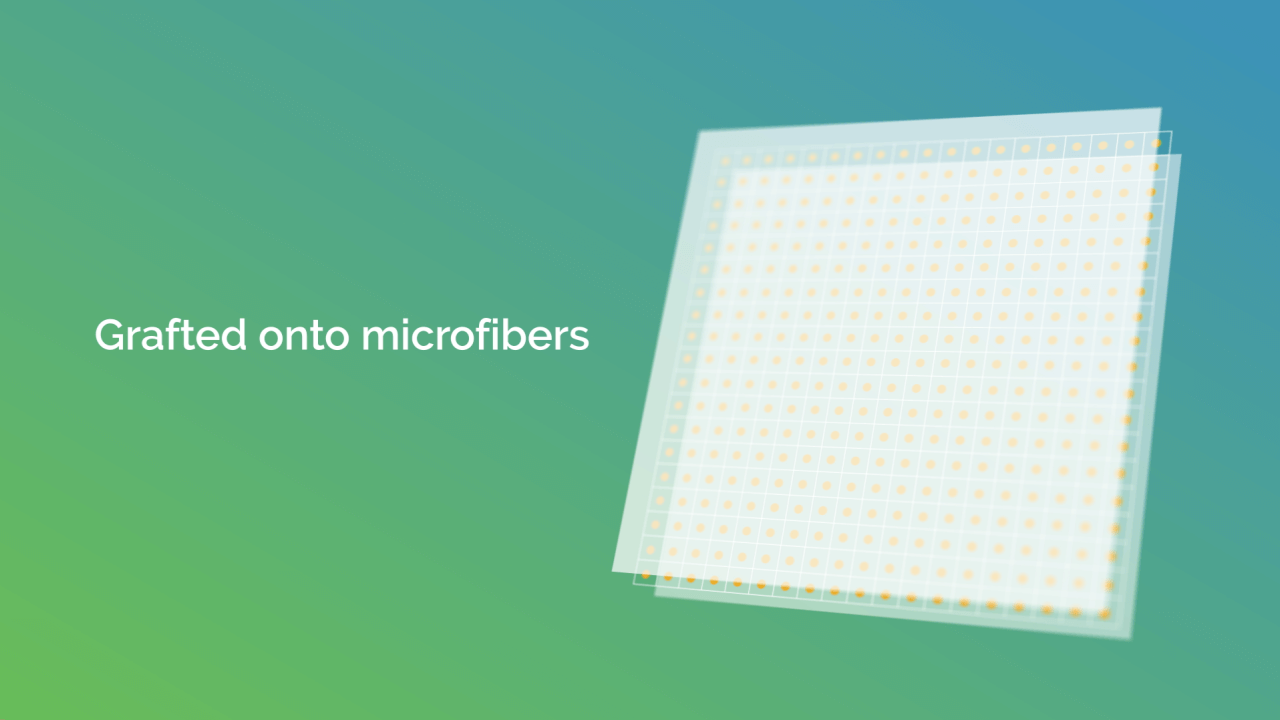 Video Motion Design Geolith, ecran 08 Video Motion Design Geolith, ecran 08