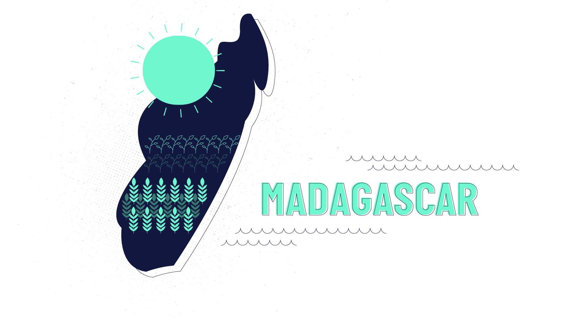 One Motion Design, ecran 04 Madagascar