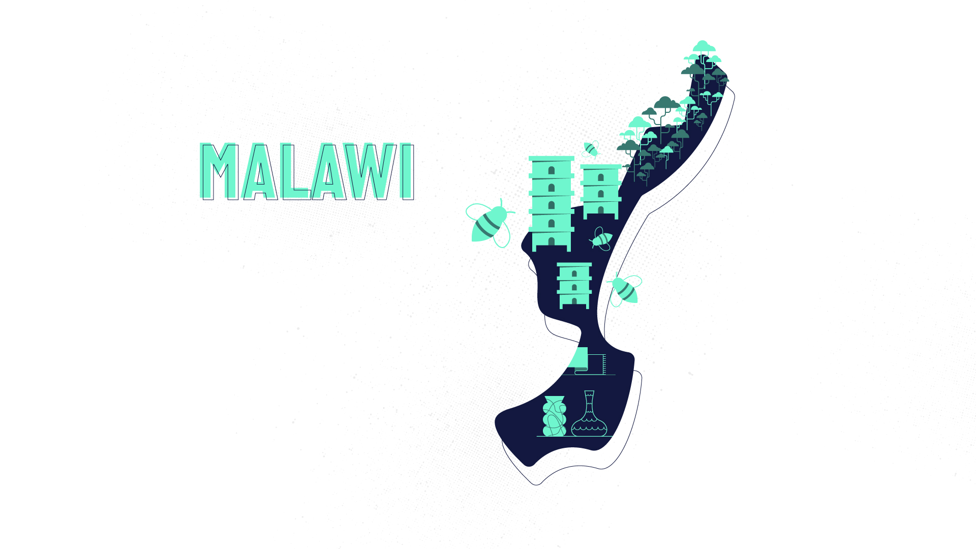 Planche_15_v1_1 One Motion Design, ecran 03 Malawi